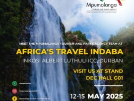 africa's travel indaba