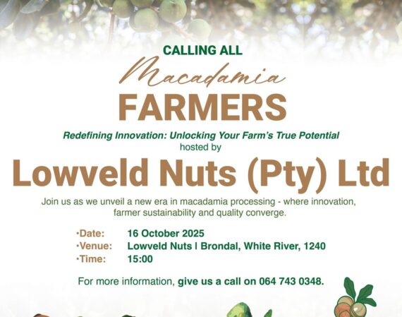 Lowveld Nuts