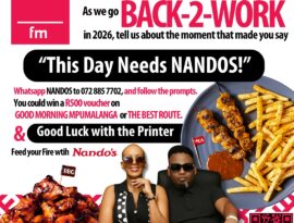 this day needs nandos